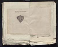 1_335_0_0_313-7_0208