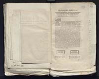 1_335_0_0_313-7_0212