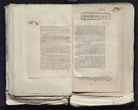 1_335_0_0_313-7_0248