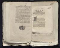 1_335_0_0_313-7_0251