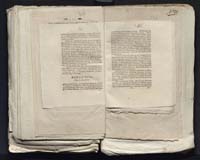 1_335_0_0_313-7_0252