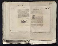 1_335_0_0_313-7_0255