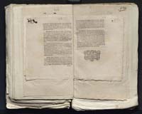 1_335_0_0_313-7_0256