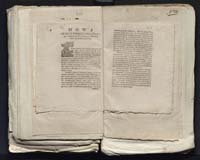 1_335_0_0_313-7_0257