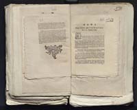 1_335_0_0_313-7_0259