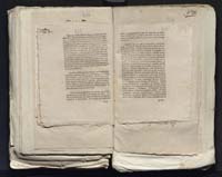 1_335_0_0_313-7_0264