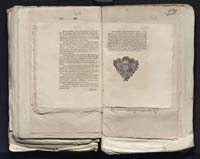 1_335_0_0_313-7_0266