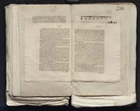 1_335_0_0_313-7_0273