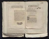 1_335_0_0_313-7_0274