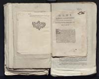 1_335_0_0_313-7_0281