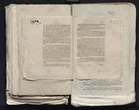 1_335_0_0_313-7_0286