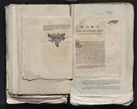 1_335_0_0_313-7_0289