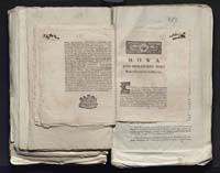 1_335_0_0_313-7_0290