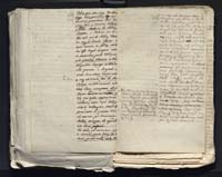 1_335_0_0_313-7_0295