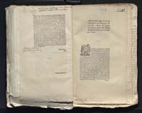 1_335_0_0_313-7_0298