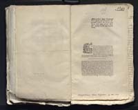 1_335_0_0_313-7_0304