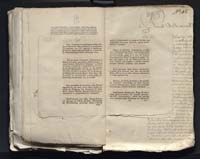 1_335_0_0_313-7_0307