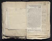 1_335_0_0_313-7_0335