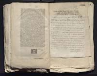 1_335_0_0_313-7_0341