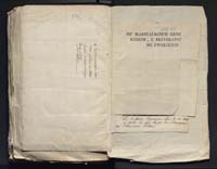 1_335_0_0_313-7_0382