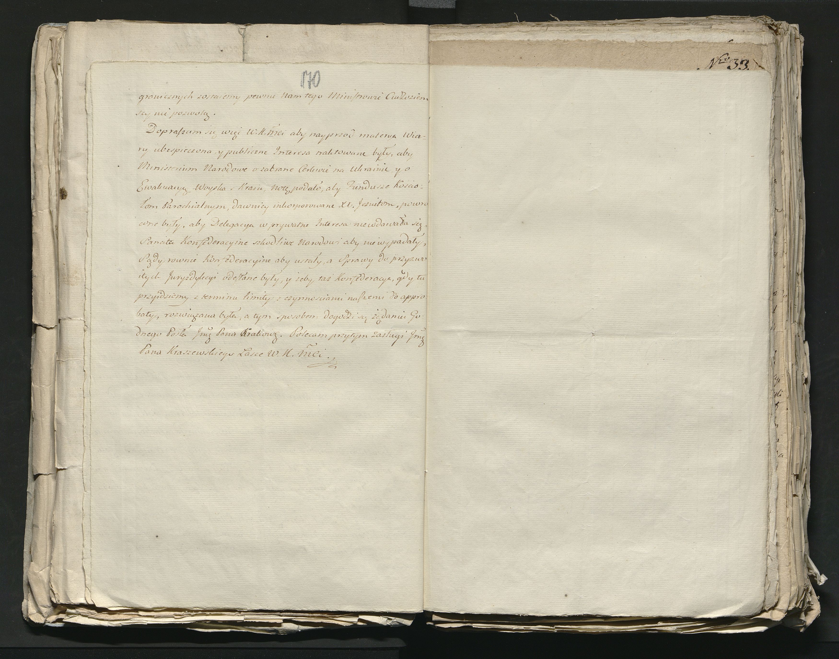 1_335_0_0_313-8_0098