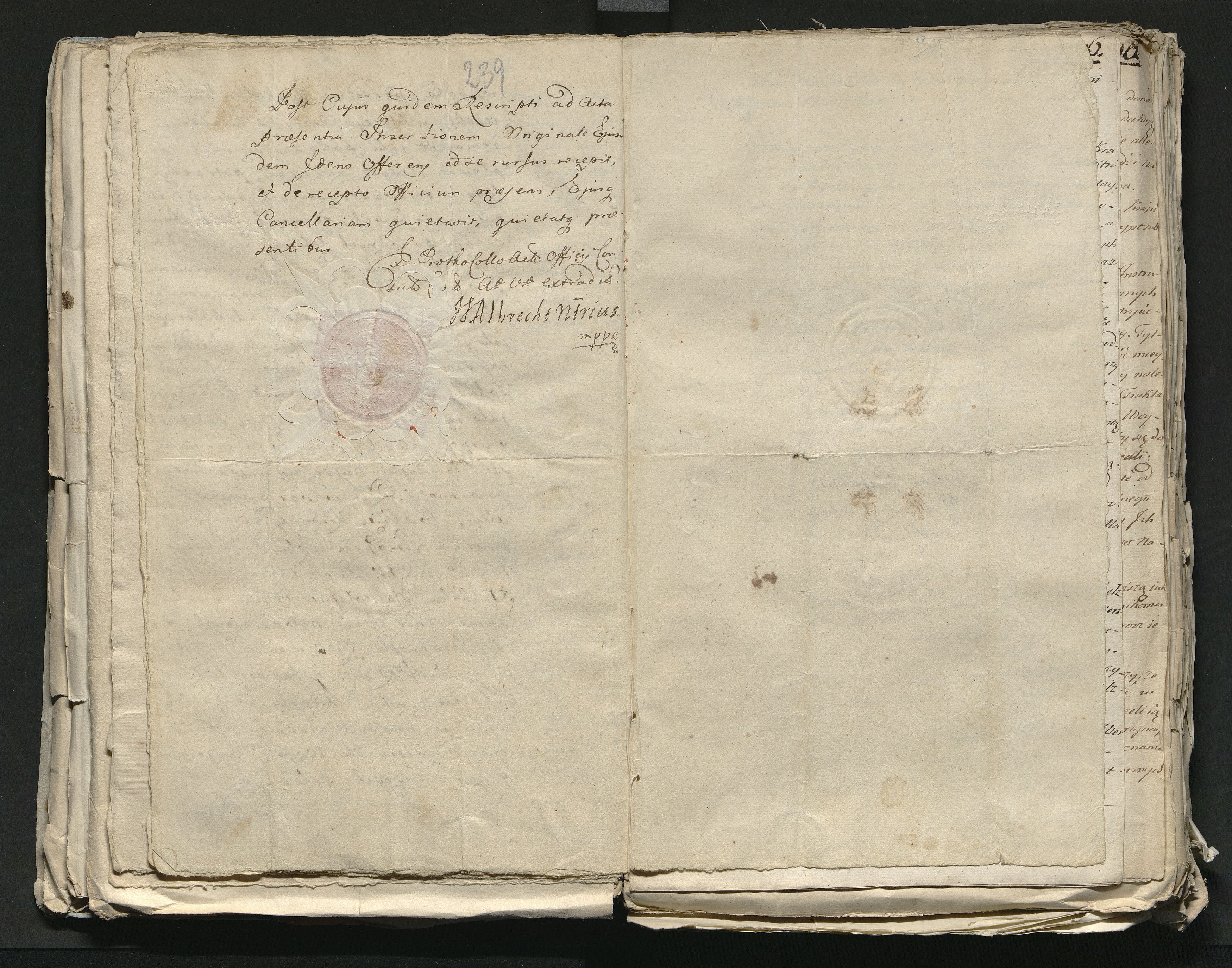 1_335_0_0_313-8_0136