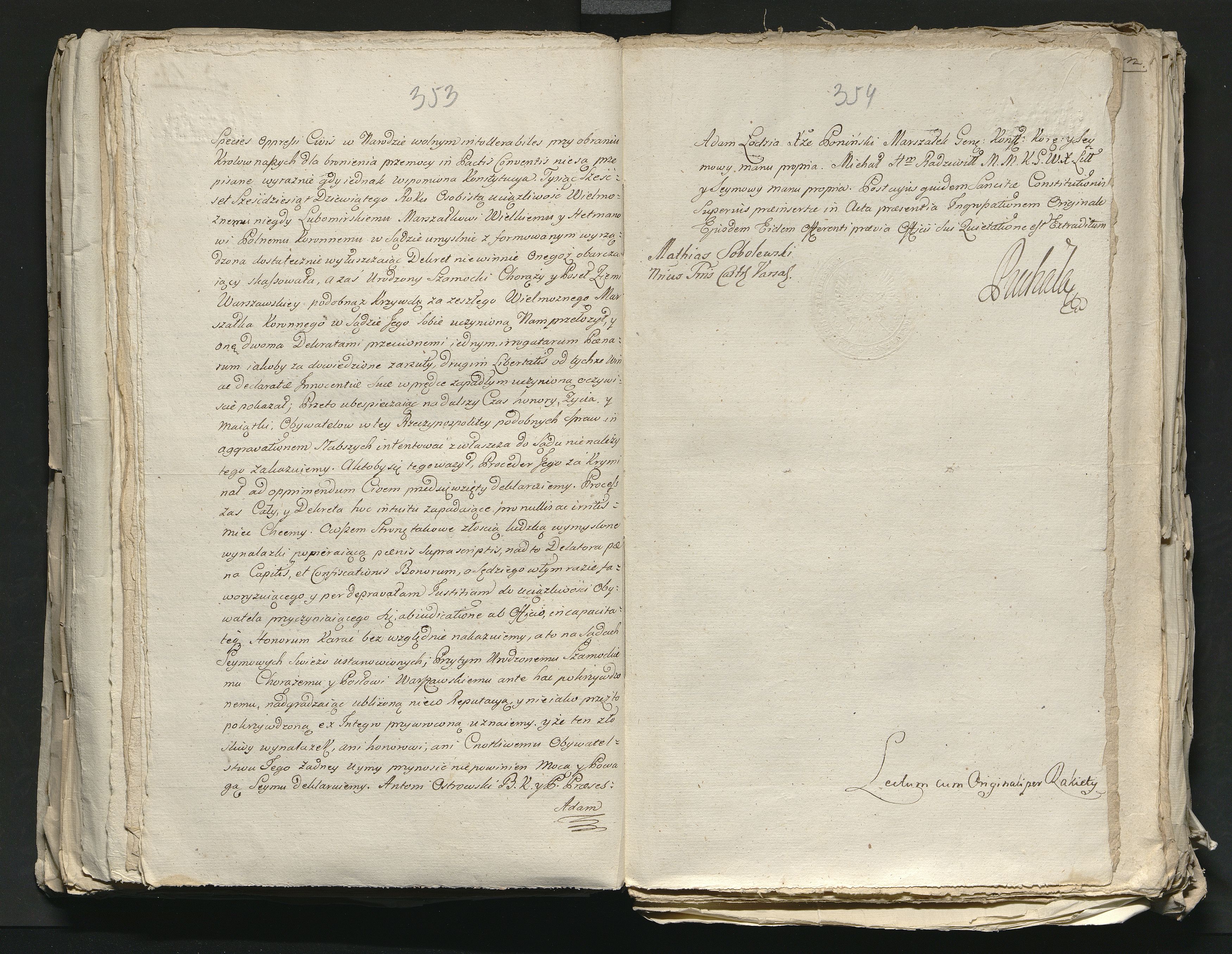 1_335_0_0_313-8_0197