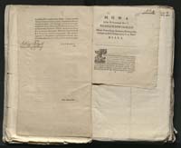 1_335_0_0_313-8_0006