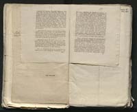 1_335_0_0_313-8_0008