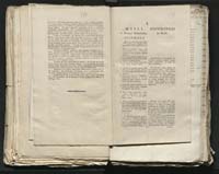 1_335_0_0_313-8_0084