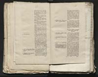 1_335_0_0_313-8_0086