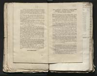 1_335_0_0_313-8_0089