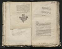 1_335_0_0_313-8_0116