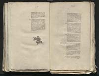 1_335_0_0_313-8_0179