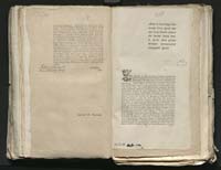 1_335_0_0_313-8_0199