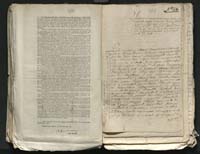 1_335_0_0_313-8_0229