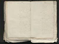 1_335_0_0_313-8_0252