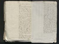 1_335_0_0_313-8_0258