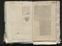 1_335_0_0_313-8_0260