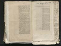 1_335_0_0_313-8_0262