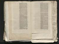 1_335_0_0_313-8_0263