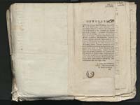 1_335_0_0_313-8_0289