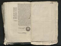 1_335_0_0_313-8_0295