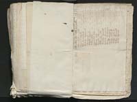 1_335_0_0_313-8_0302