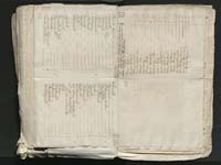 1_335_0_0_313-8_0307