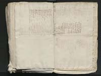 1_335_0_0_313-8_0312