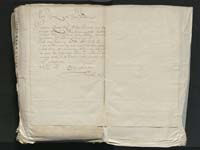 1_335_0_0_313-8_0331