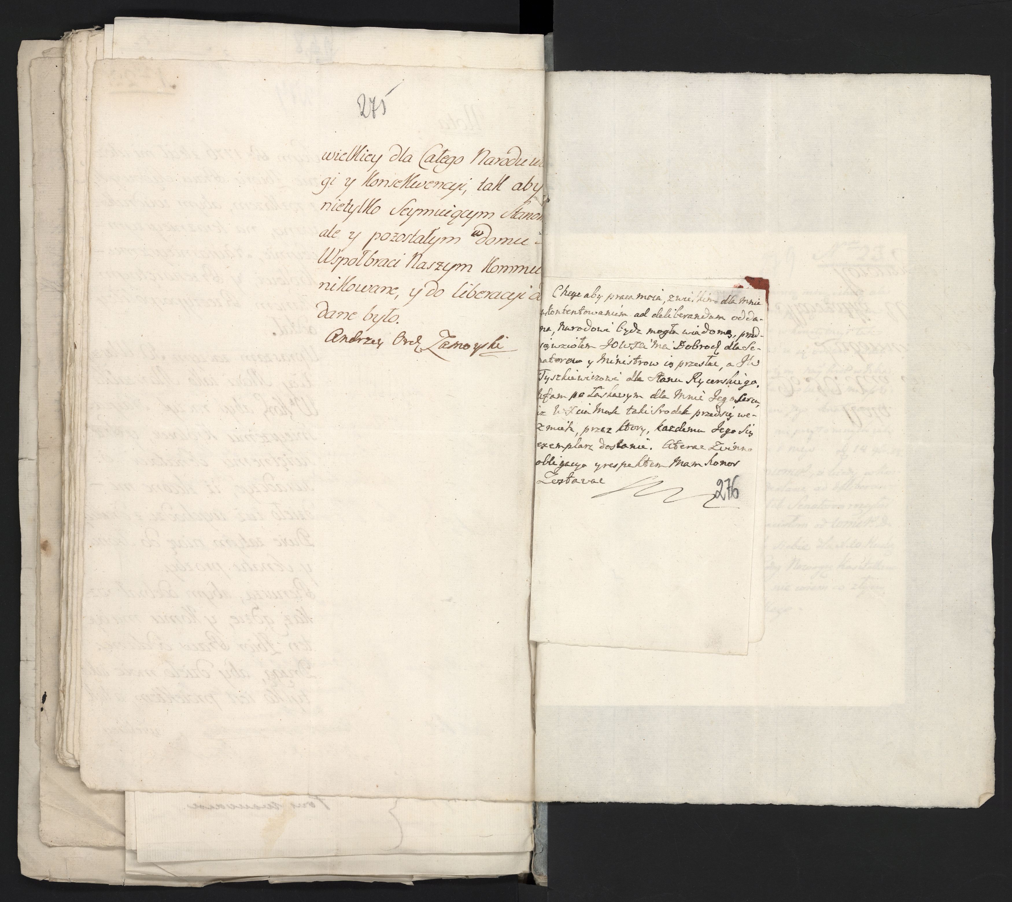 1_335_0_0_313-9_0177