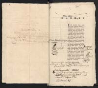 1_335_0_0_313-9_0198