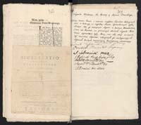 1_335_0_0_313-9_0203